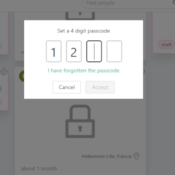 PIN protection for diary entries